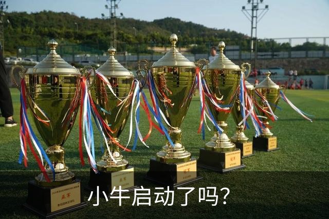 小牛启动了吗？