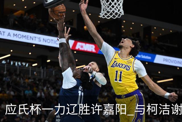 应氏杯一力辽胜许嘉阳 与柯洁谢科许皓鋐进4强